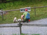 Klik op de foto voor groter formaat